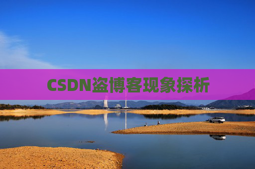 CSDN盗博客现象探析